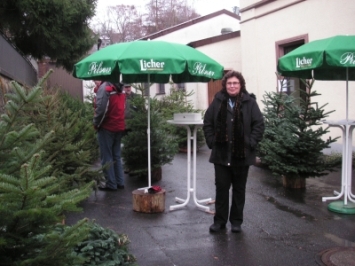 Christb�ume vom F�rster